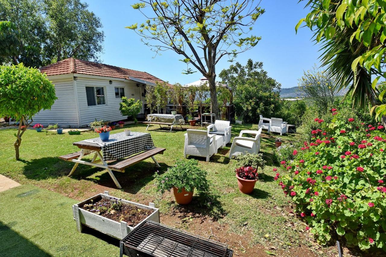 Villa Biktot Nofim à Manot Extérieur photo