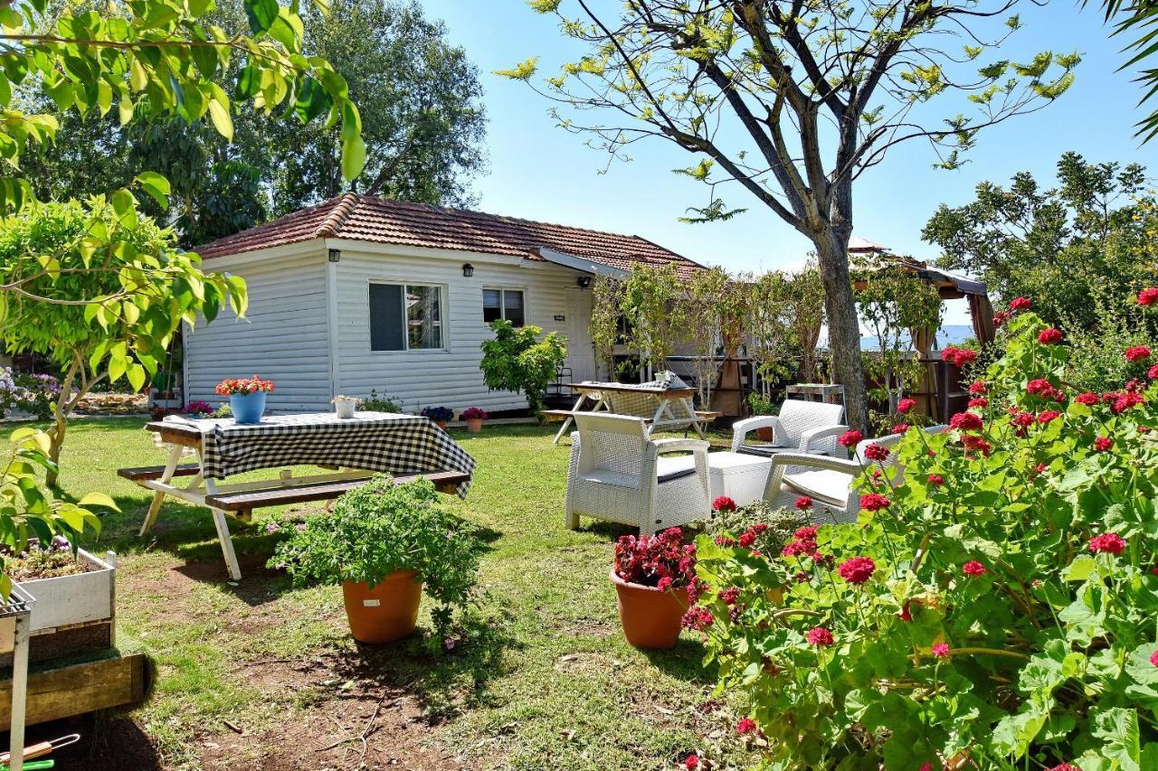 Villa Biktot Nofim à Manot Extérieur photo