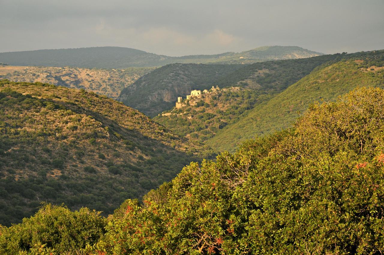 Villa Biktot Nofim à Manot Chambre photo
